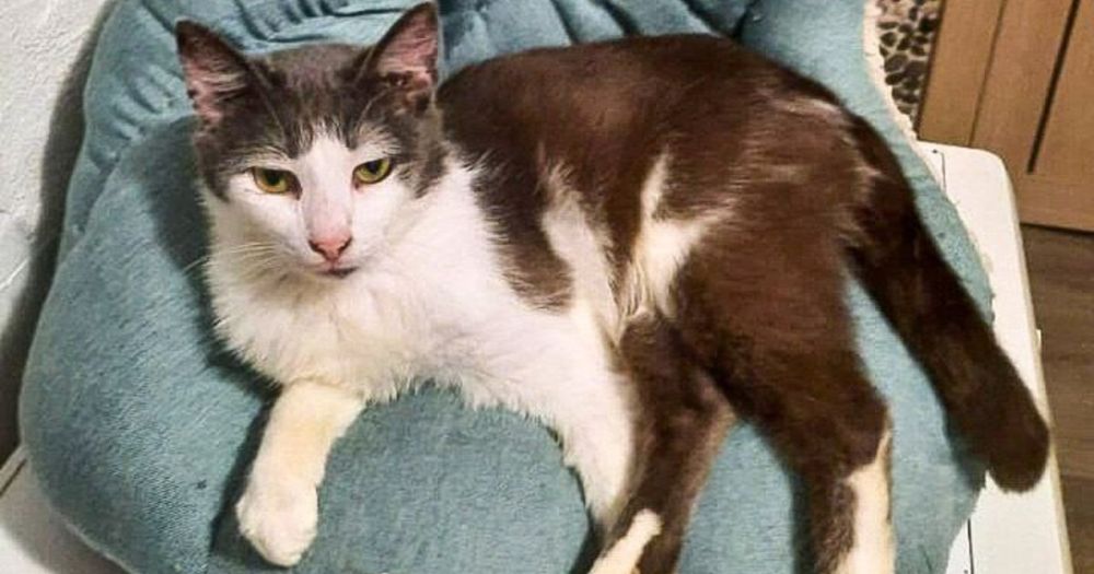 ����� ����� � ������� �������� ��������