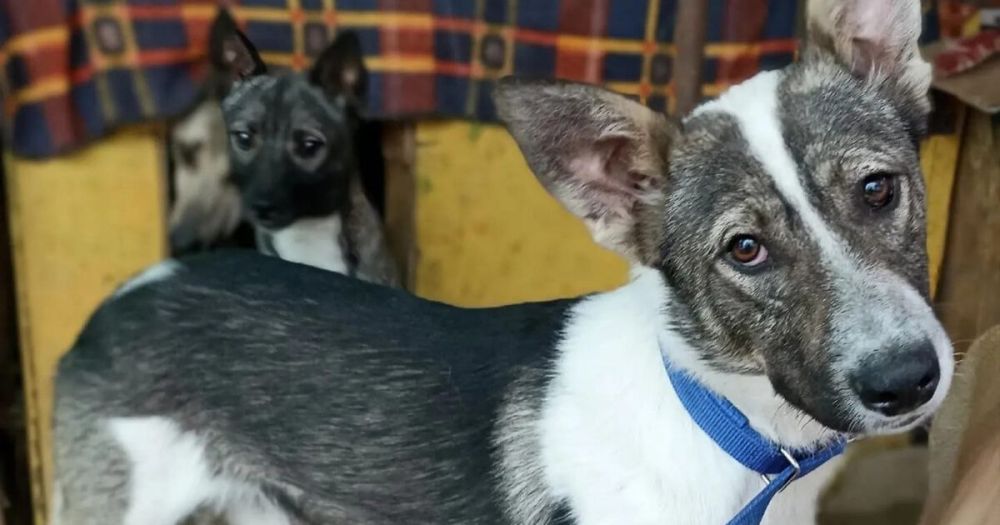 ������� �����, ������ � ��� ����� ���� ������� � ����� �����