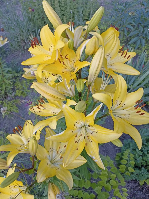 � ������ �����, �����������!