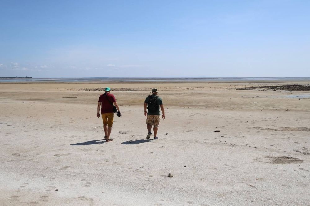 ��� ������ �������� ��������� ������������� � ������ �������������� ���������� �������, ������ ��� ����������� �������