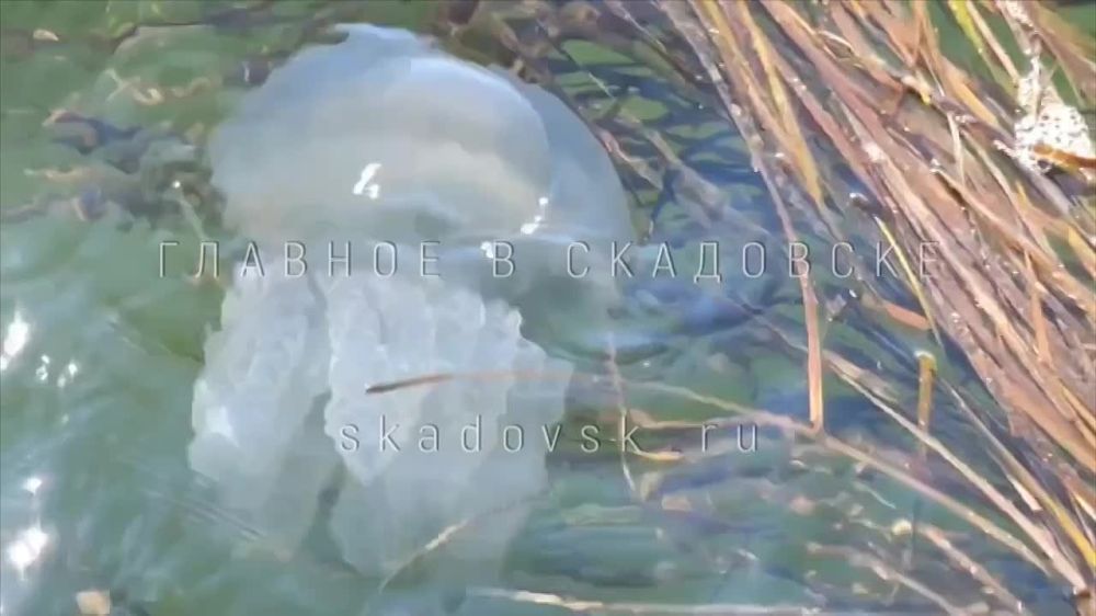 ���� ����� ������� ����� � ������ ����� � ������� ������� ������� ���������� ������������� ��������� ���������