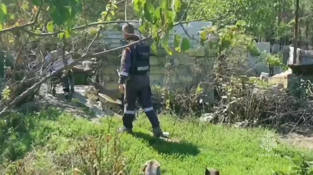 17 ��������� ������� � ���������� ������� ��������� ������������ �� ����