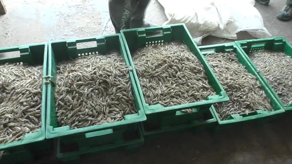 ������������� � ���������� ������ ����� 150 �� �������� ��������� ������������ ���������� �������