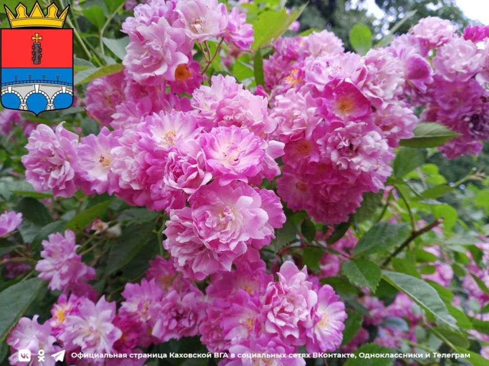 ����� ������ ���������� ��