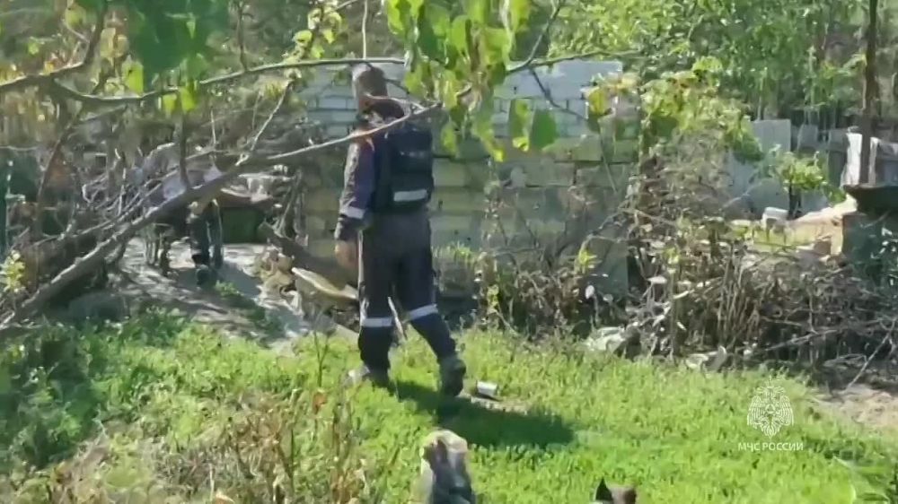 ����� 13,5 ����� ����� ����� � 100 ��������� �������� �������� ������������ ���������� ����������� �� ����