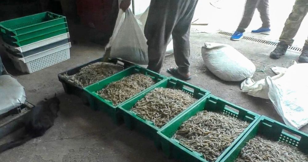 ��������� ���������� �� ����������� ������ �� ���������� ����� ��������