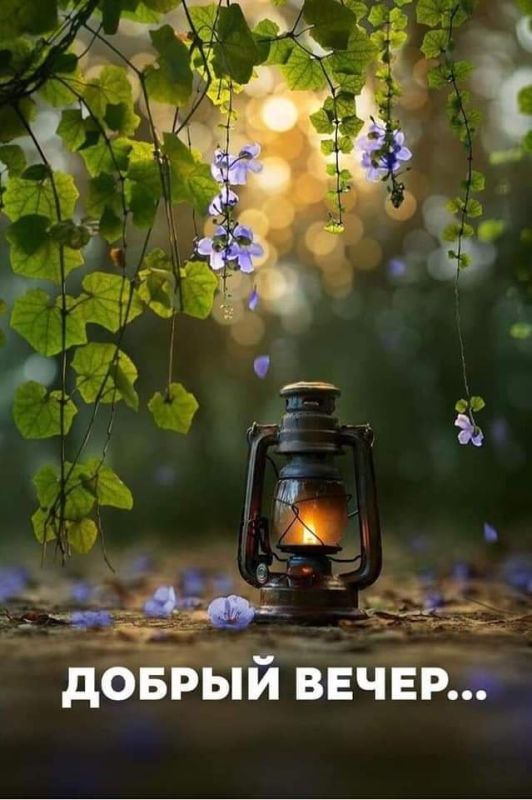 ������, �� ������ ������ �� �������� ������, � ��������� �� ����������