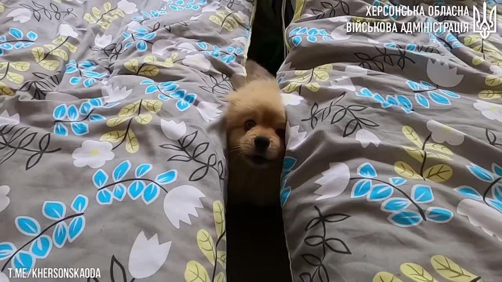 � �� ��� ������.... ������ � ���������� ������� ��������� 330 �������. ����� ��� � 45 ������������� ����� � 11 �����