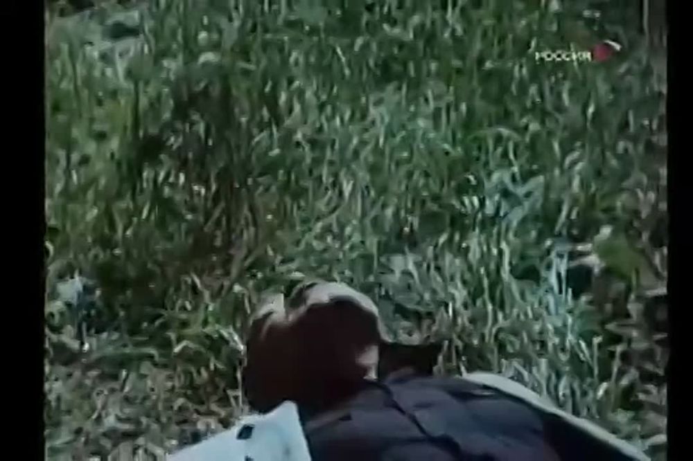 ���� ����������, � ���� �� ����?