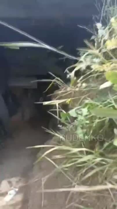 "������, � ��� ������ ��������!"