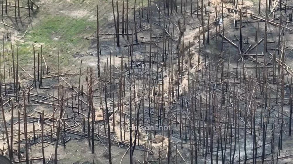 ���� �� �������: ����������� �������� ������ � ������� �������� � ���������� ����