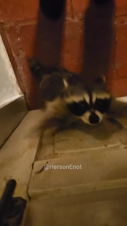 ���� �� �������: � ��� ������� ���� ���, �� ��������� � ��������� �����������