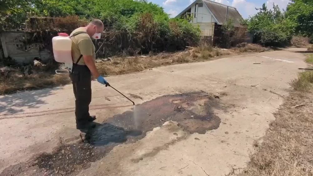 ������������ ������ �� �������������� ���� ������������� ����� � ��������� � �������