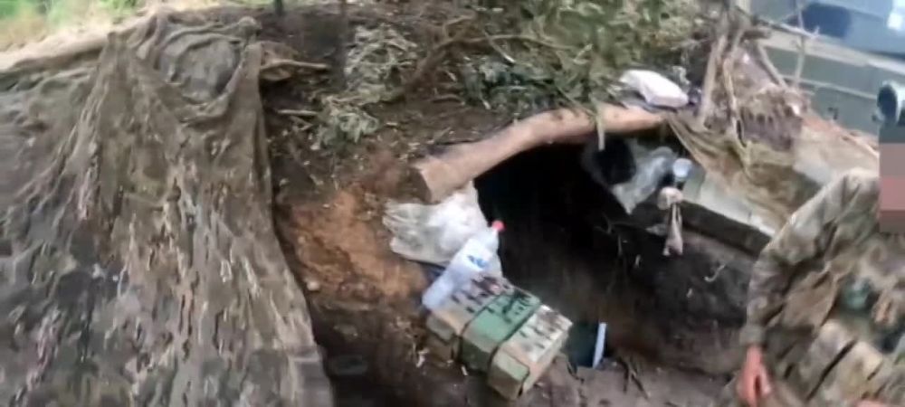 ������� ��� � ������������ �������� ���������