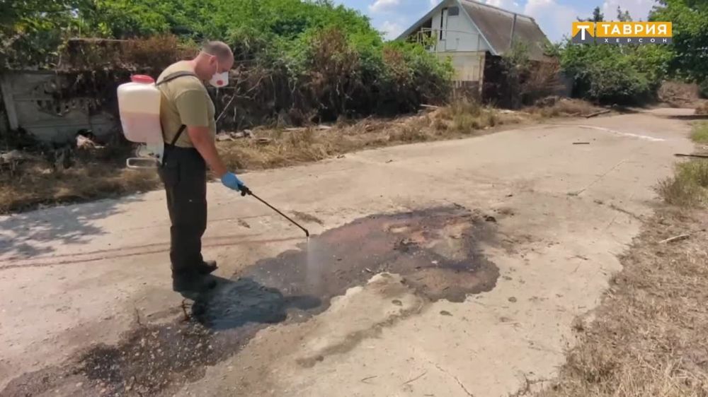 ������������ ������ �� �������������� ���� ������������� ����� � ��������� � �������