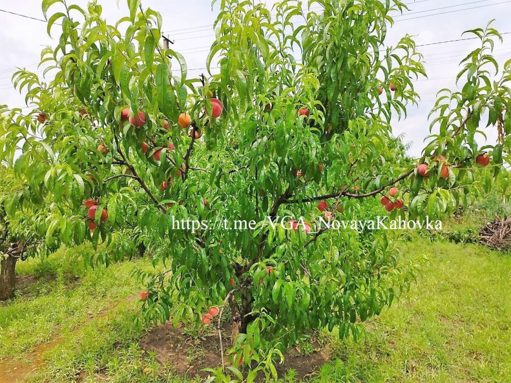 ������ ����� ������� ��� �������� � ������� �� ���������