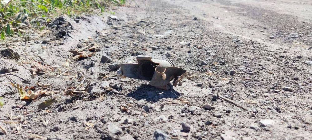 ����� ����������: ������� ���� ����� ���