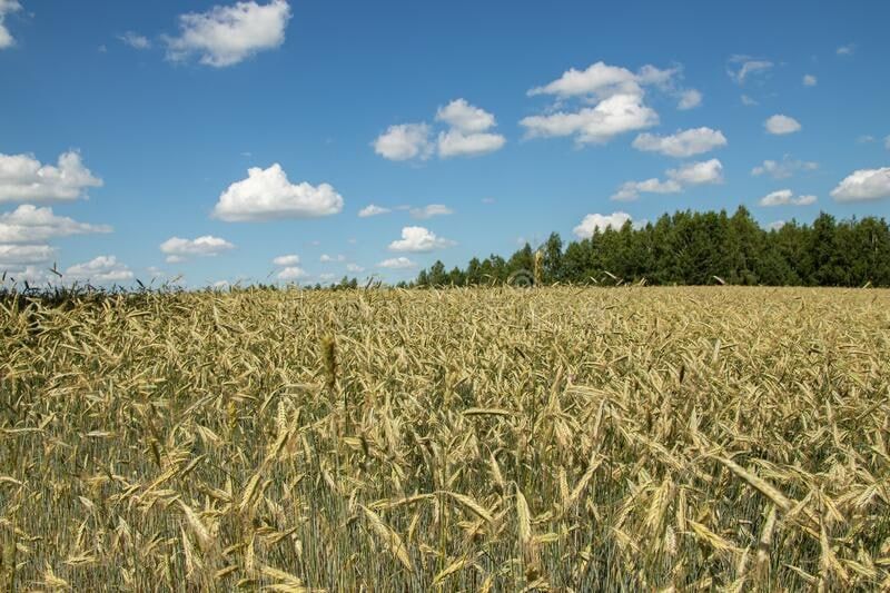 ���������� ������� ���������� � ������ ������ � �������, �� ���� �������� � ���������� ���������� �������