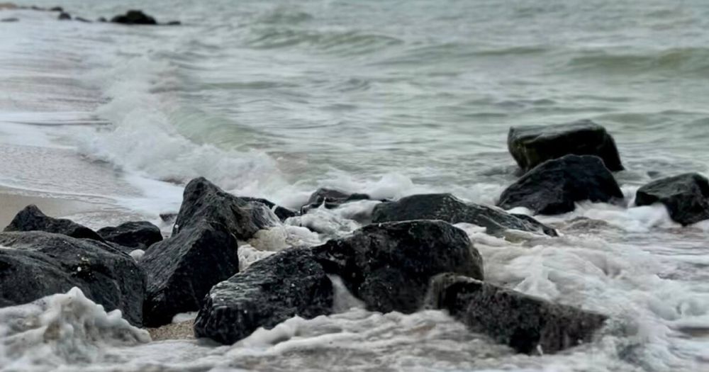 ���� �� ����������� ������ ����� ��������� ����������� � ������