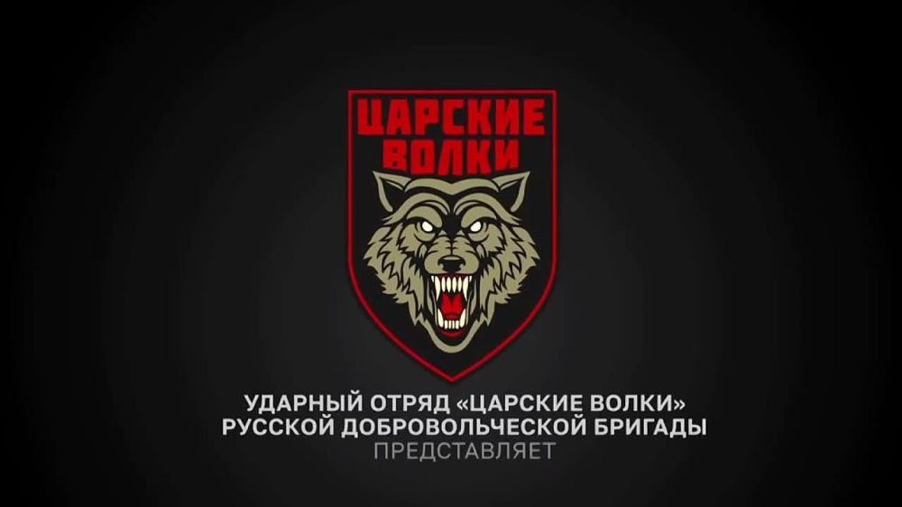 �� ����������� ����������� ���������� ������������� ������ ������ ������� ���������� ��������