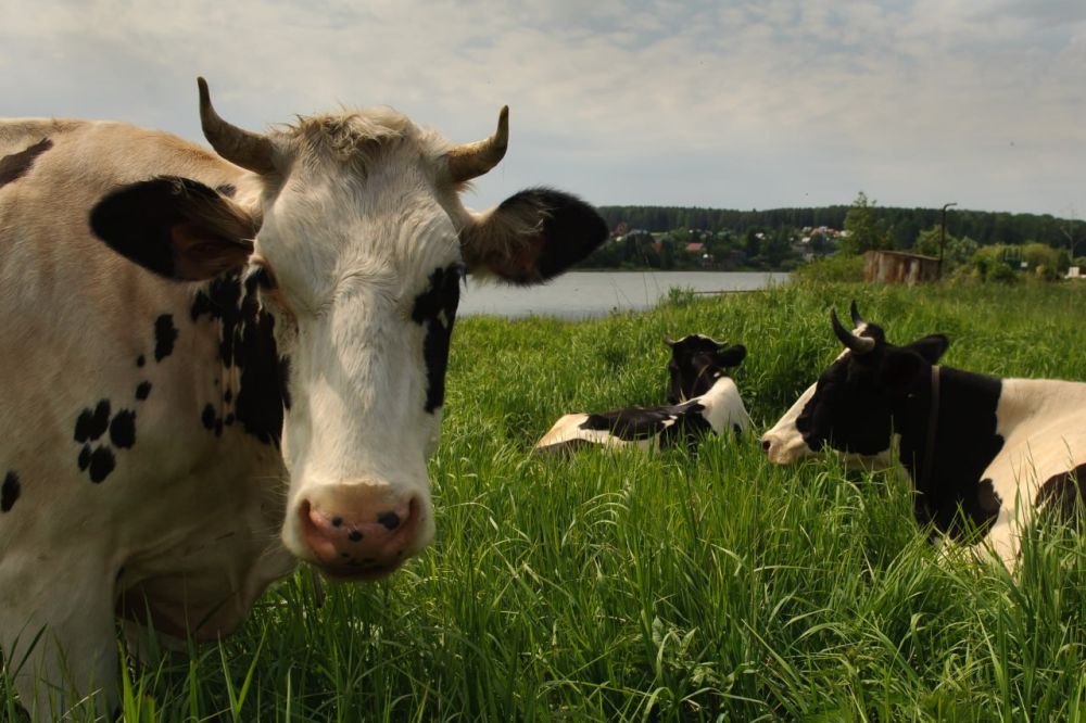 ���������������� ������� � ������, ��������� � ��������� ����� � ���������� �������