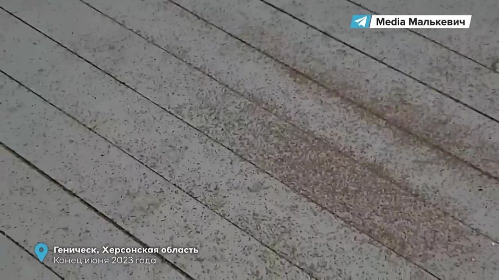 ��������� ���������: ������ ��� � ������� #�������_������� ���� ������������ �����