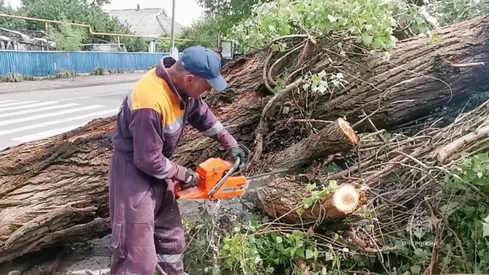 �� �������, ������������ �� ����������� ������� ��� �� ��� ������������ 8328 �������