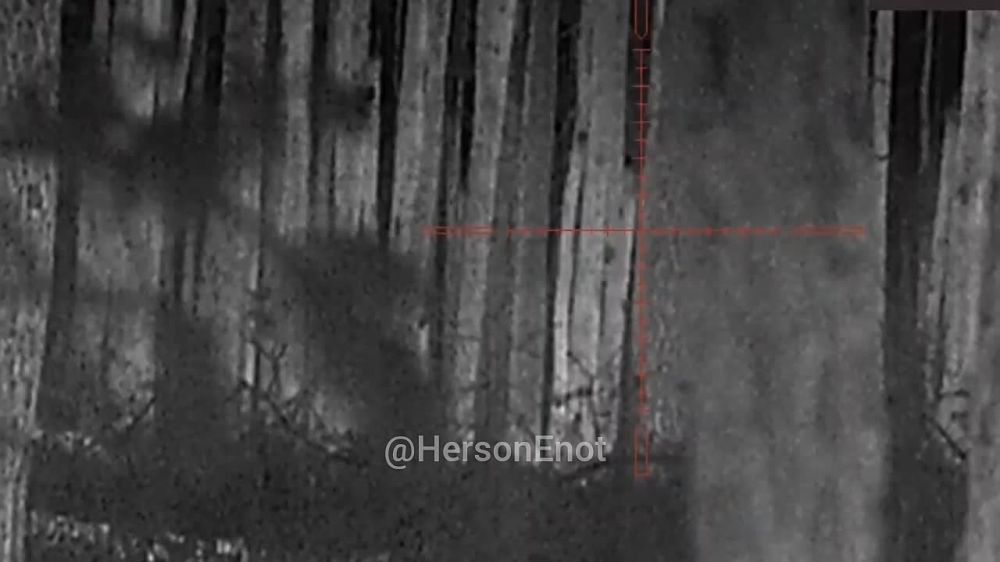 ���� �� �������: �������� � ���������� ���� �������� ������� �����