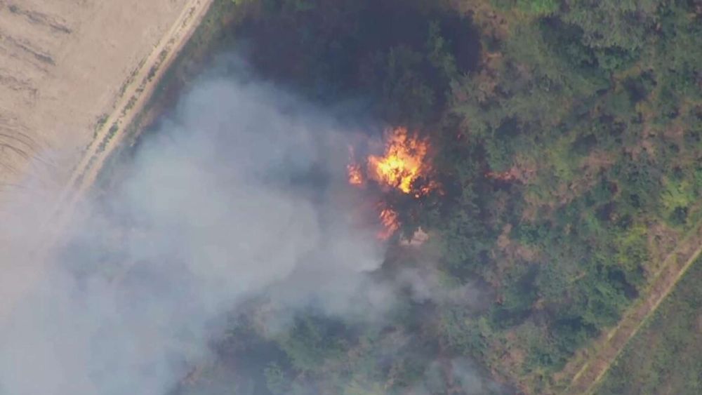 ������ ����������� ����� "�����" � ���������� ������� �� �����