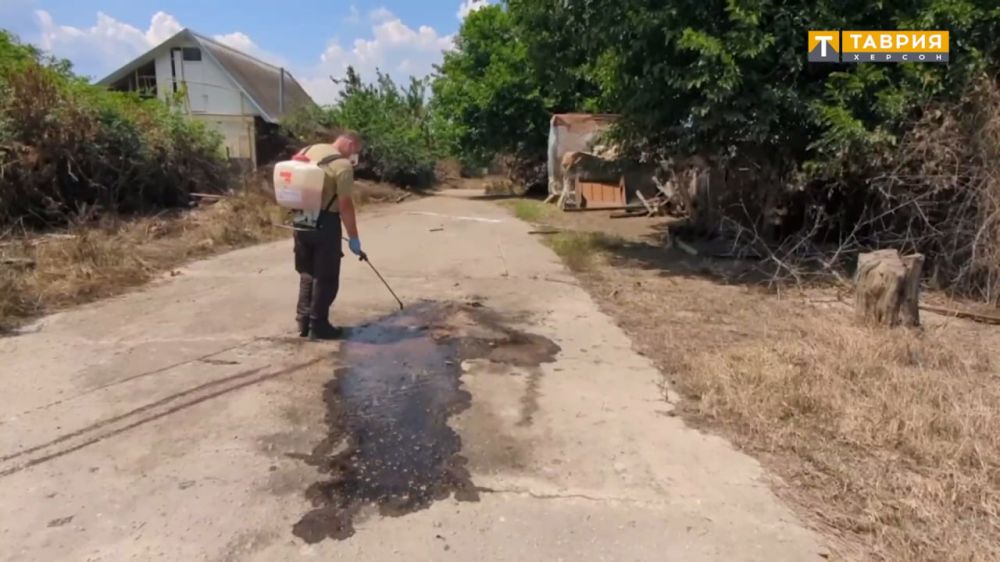 � ������� ������������� ����� � ���������