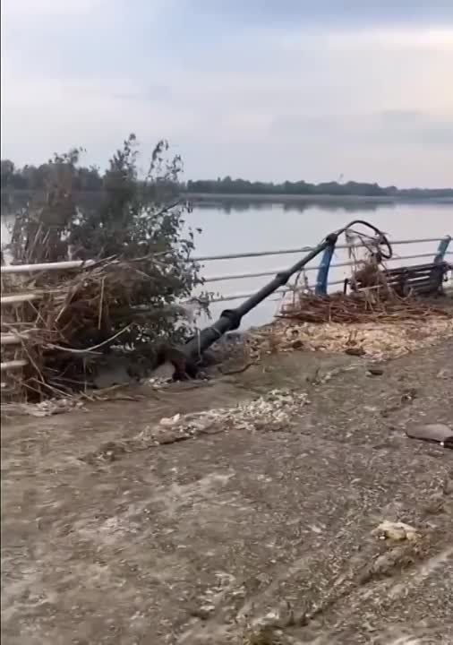 ����� ������ ���� ����. ������ ���������� ������� � ������ ��������� ������� �������� ���