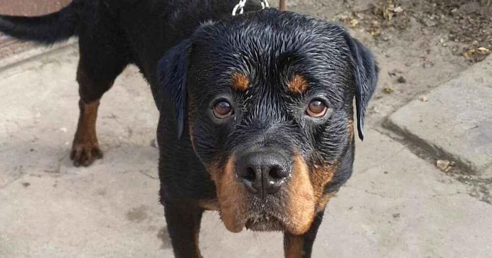 ������ �������� �� ���� ����� ��� ���������