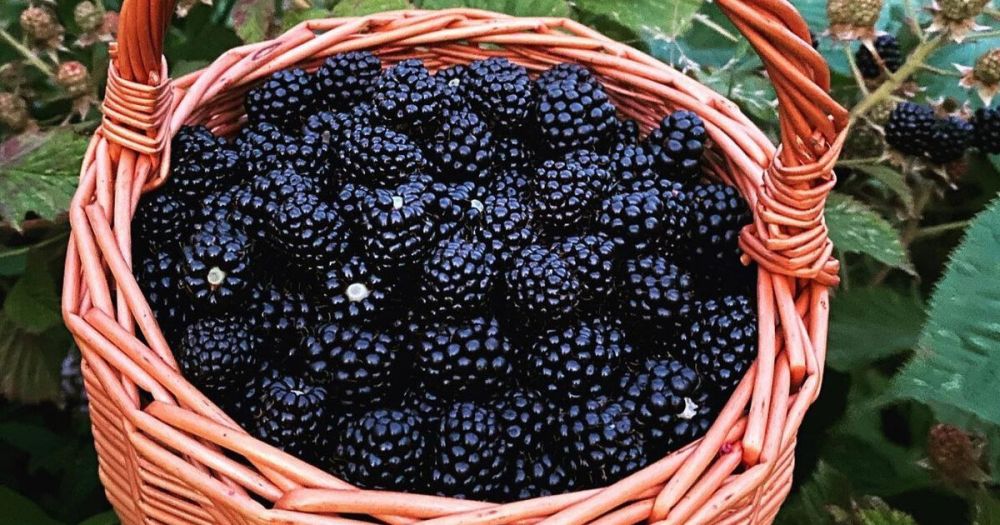 ������� � ������� ������� � ����� �������