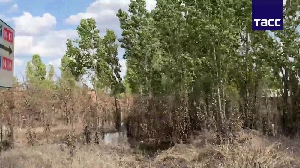 ������ ����� ����� �������� � �������� �������� �������� ������������ ������ ��� ������ ����� ���������� ����������� �������� ��������� ���, �������� ��� �������������