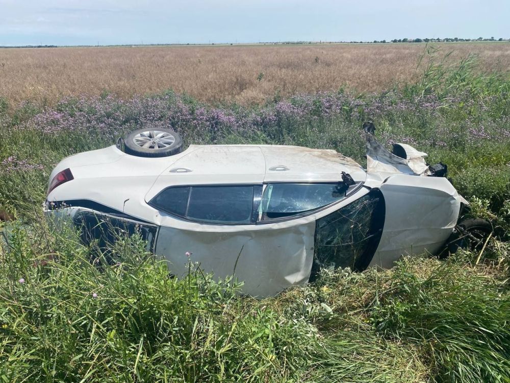 � ������������ ������ ����������� �������� ����������� ��� � �������������� ����������