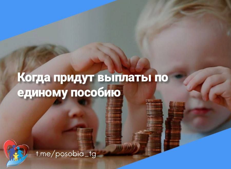 ����� ������ ������� �� ������� �������