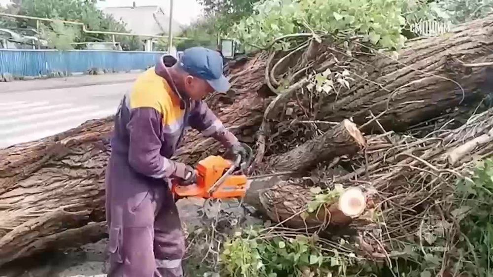 ��������� ��� ������ ��������� �������������� �� ���� ���������� ���������� �������, �������� ���������-������������������ �����������, ��������� �������� ������, ������� ���� � �������� �������