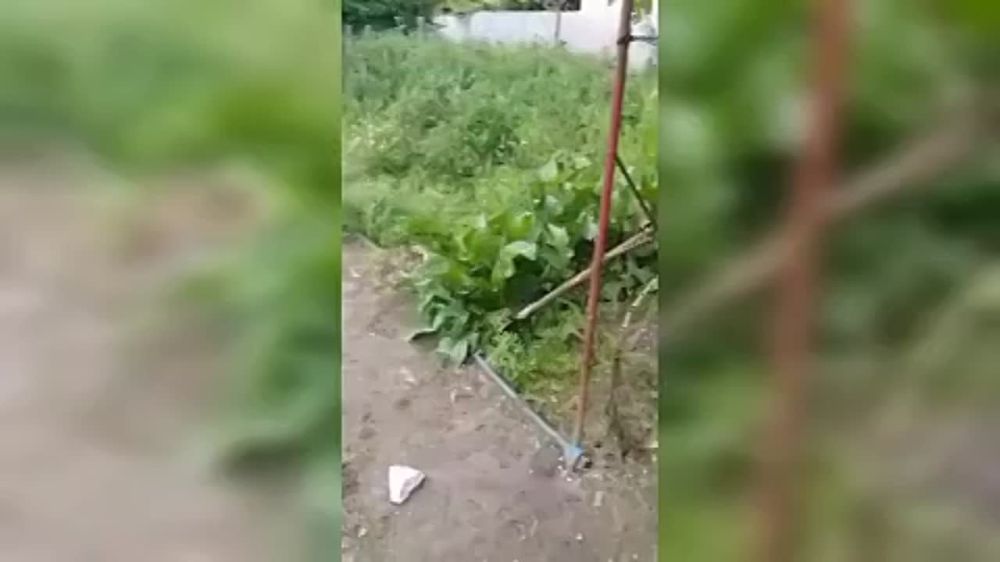 #���. ����� ���� ��� ���������� ������ ��������� ����� ��������� ��� ����� ���������� ������� ��������� �����������. �������...