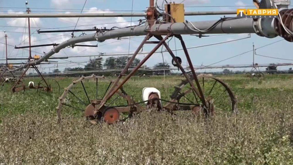 ���������� �������. ���������� ������� �������� �� ����������� ������ ������ ����� ��������� 7 ����� ����� ���� ���������� � ������� ��������� �� ��������. ������ ��������� �������� ��������������. ��� �������� ���� ������������