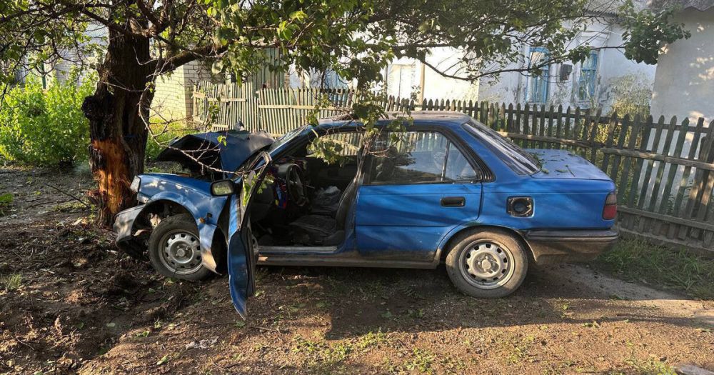 ��� � ���������: �������� �� ��������� � ����������� ����������