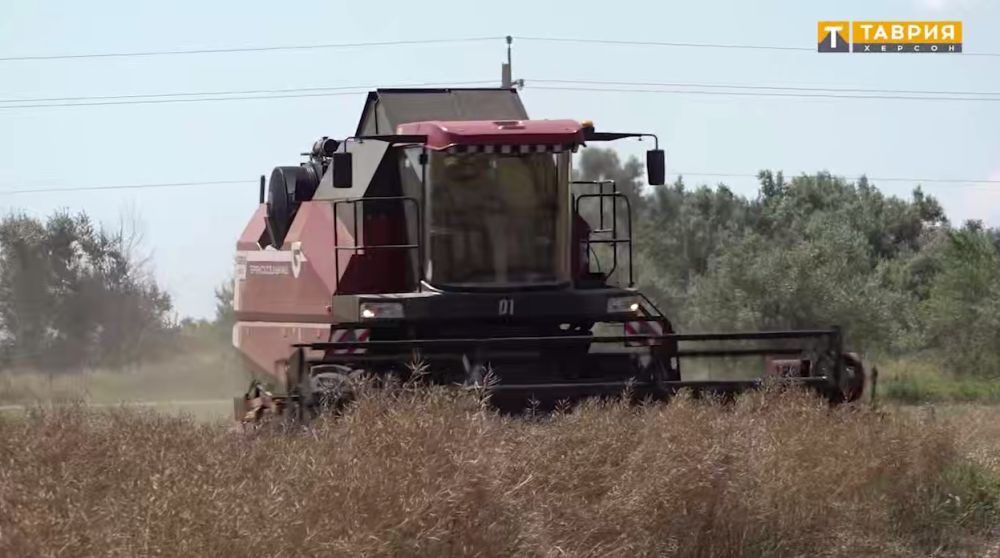 ����� ������� ������� 50 ��������� �� ����� ����