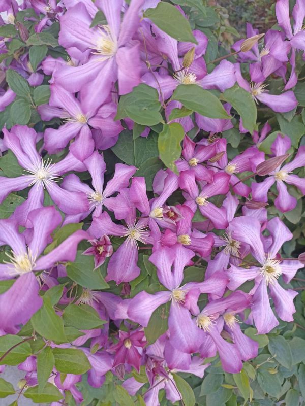 � ������ �����, �����������!