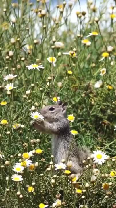 ������� � ��������