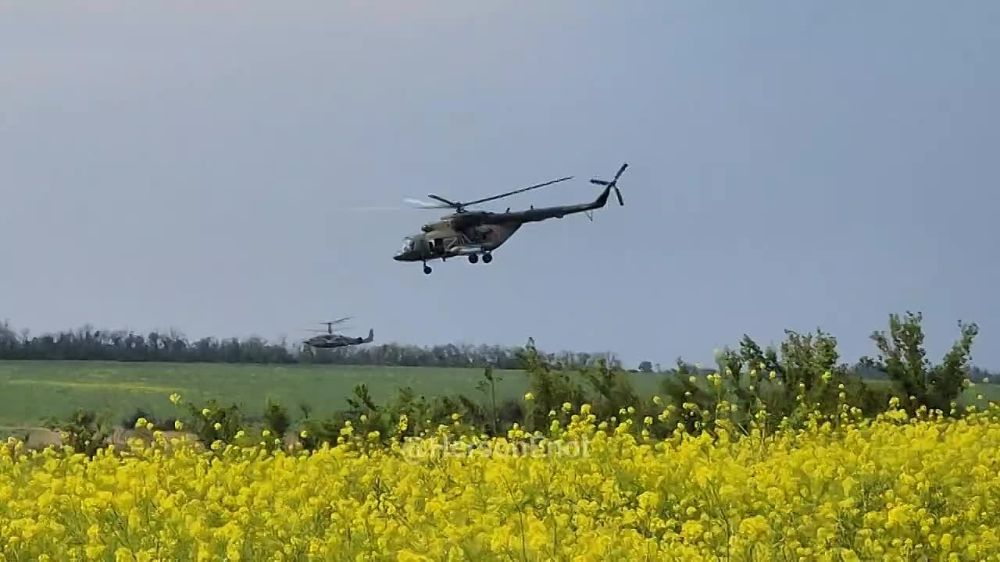 ���� �� �������: ������� ���� � �������� ���, ������! ������� ��� ������ - ������ �����!