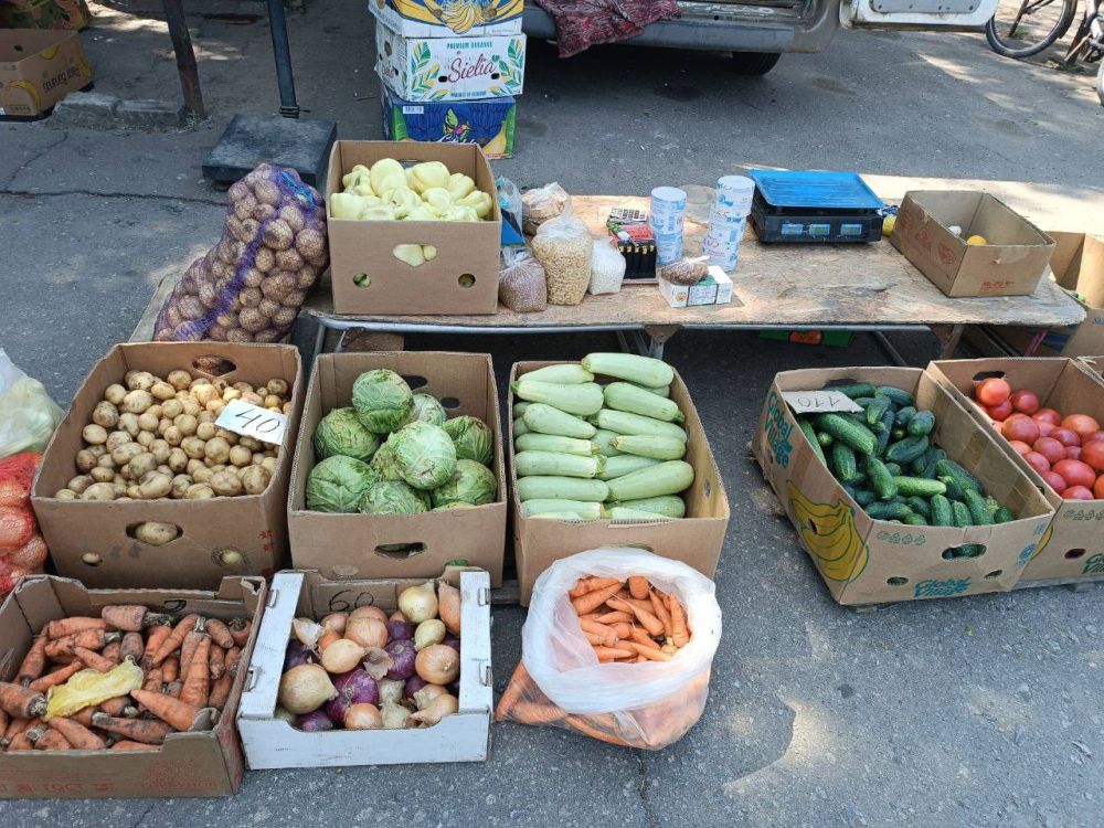 � ������ ������ �������������������� �������