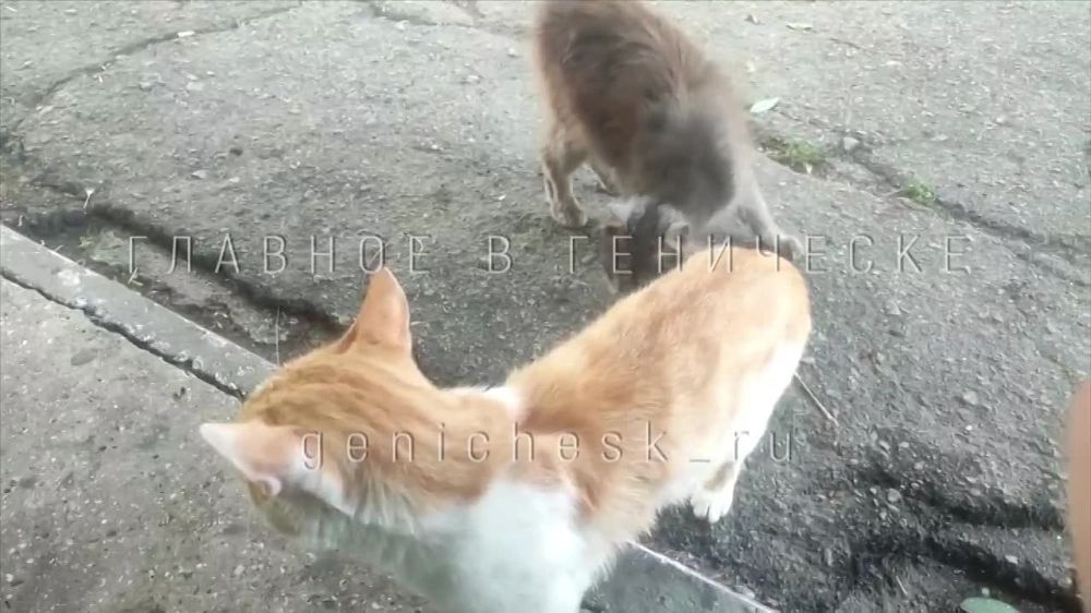 ������ ������� � �������� ����������� � ����� ������ ������� �� ������ ������