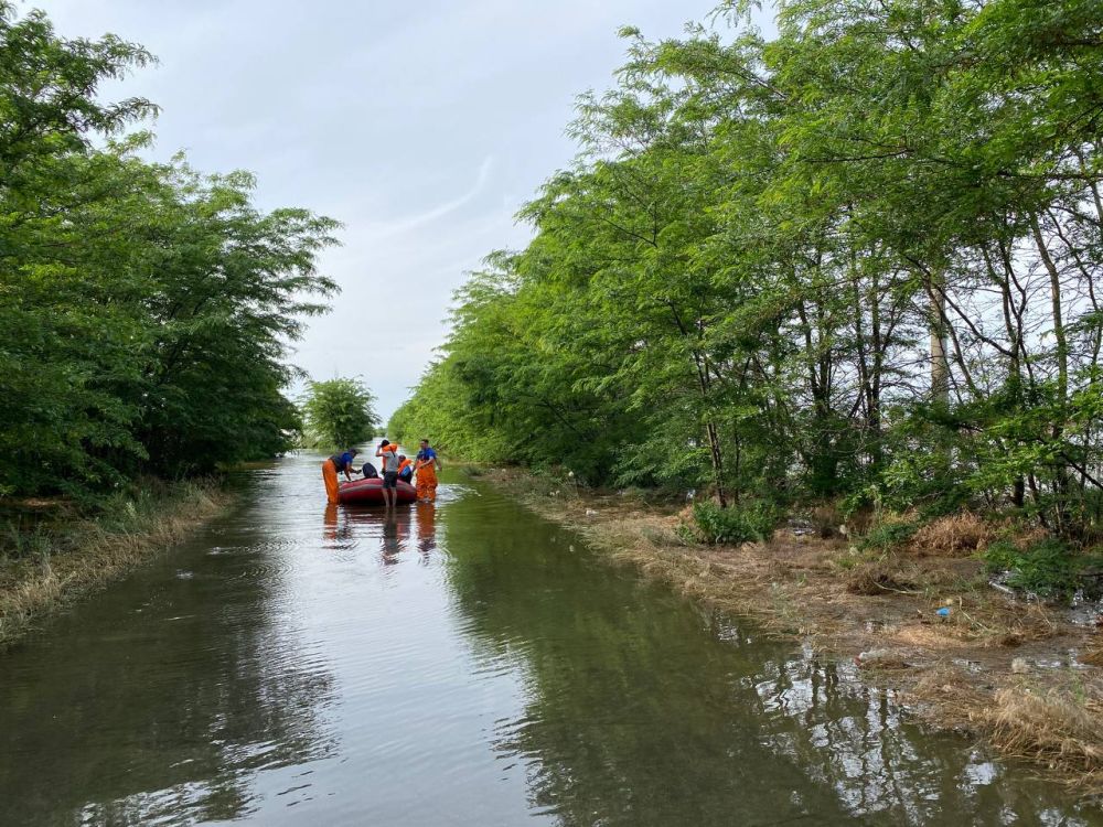 ������ ������ ������� � ������� �������� �����������