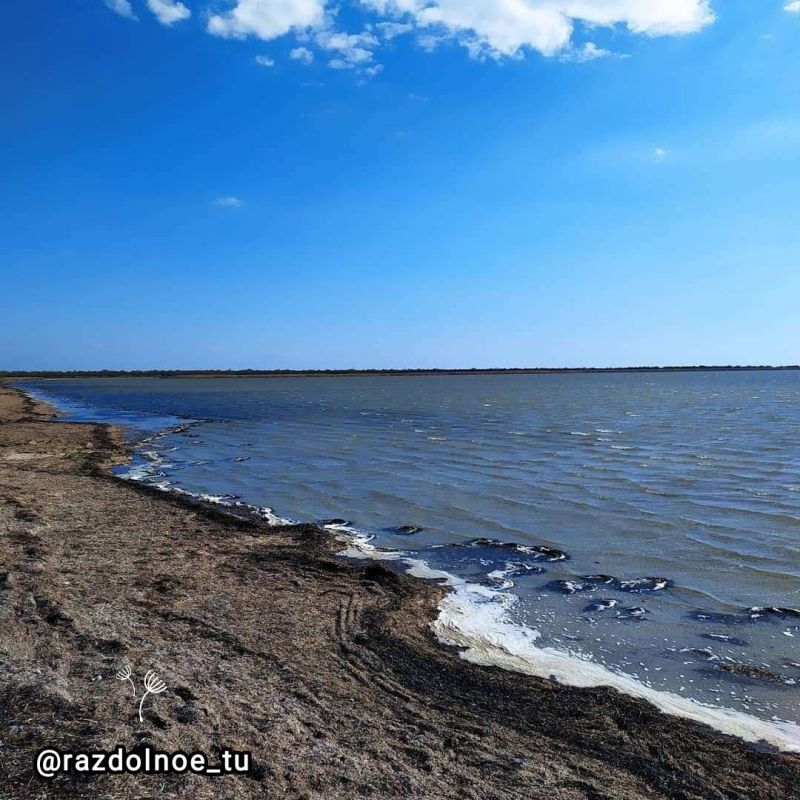 ����������! � ������ �����!