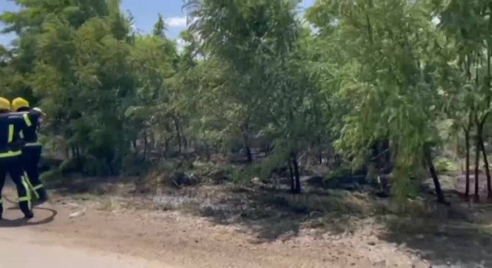 ����� ��������� �����. ����� ����������� �� ����� �������� - 7 ����������� � ����������� �������, � ������ ���� - 326