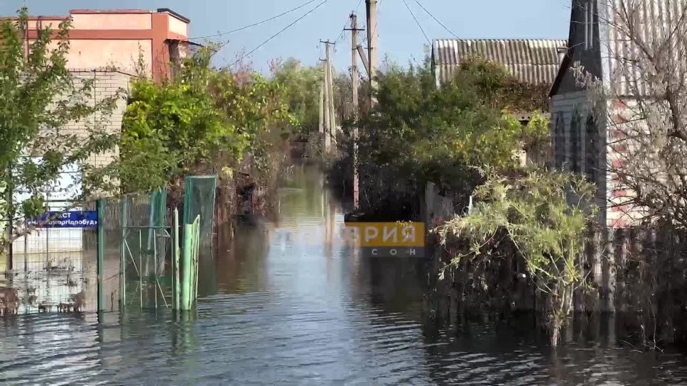 �������� ������� ������ � ������� ������ ��������������� ����������� � ����������� ���������� ������������� ����������� ����� "�����"